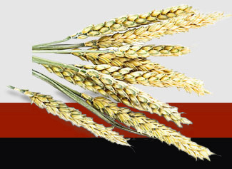 Z6·尊龙「中国区」官方网站