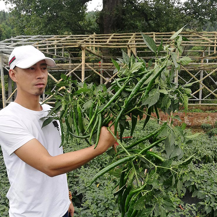 Z6·尊龙「中国区」官方网站