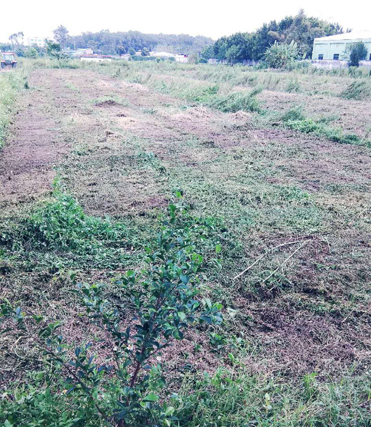 Z6·尊龙「中国区」官方网站