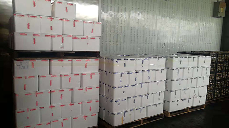 Z6·尊龙「中国区」官方网站