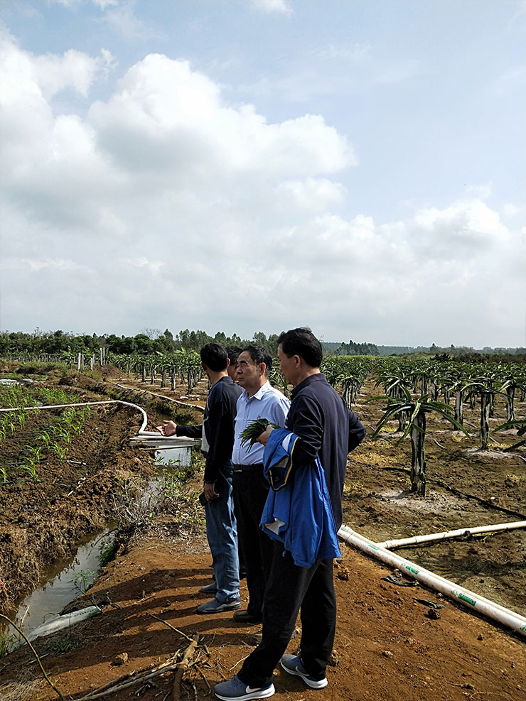 Z6·尊龙「中国区」官方网站