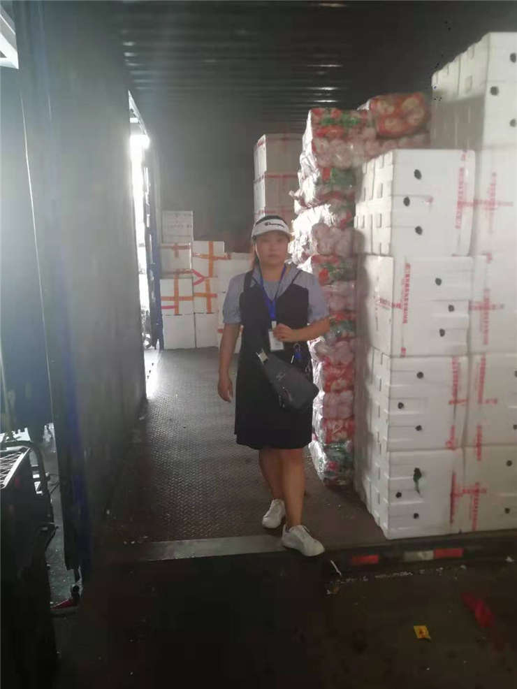 Z6·尊龙「中国区」官方网站