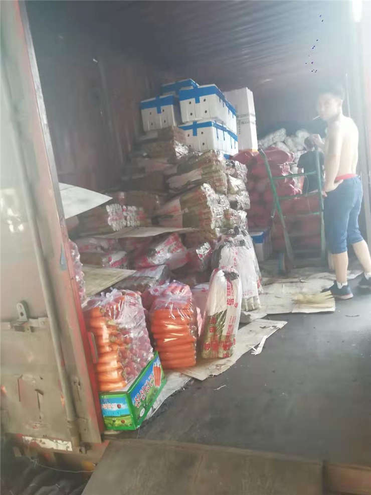 Z6·尊龙「中国区」官方网站