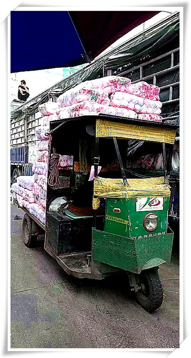 Z6·尊龙「中国区」官方网站