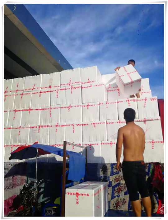 Z6·尊龙「中国区」官方网站