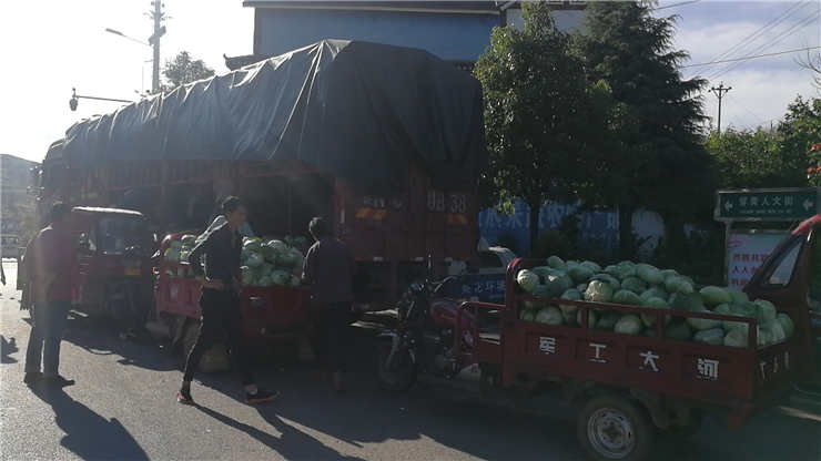 Z6·尊龙「中国区」官方网站