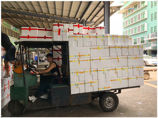 Z6·尊龙「中国区」官方网站