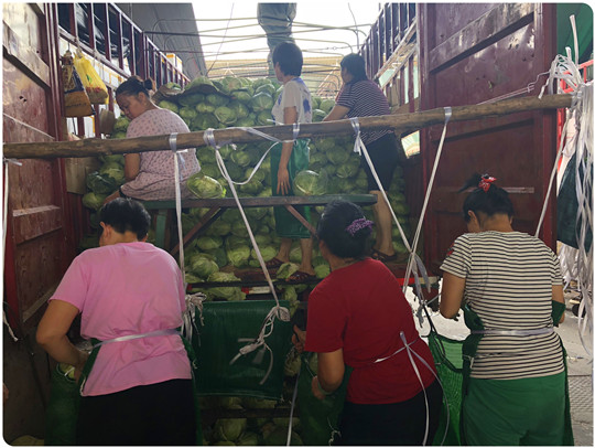 Z6·尊龙「中国区」官方网站