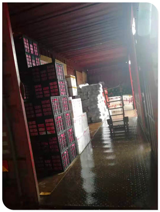 Z6·尊龙「中国区」官方网站