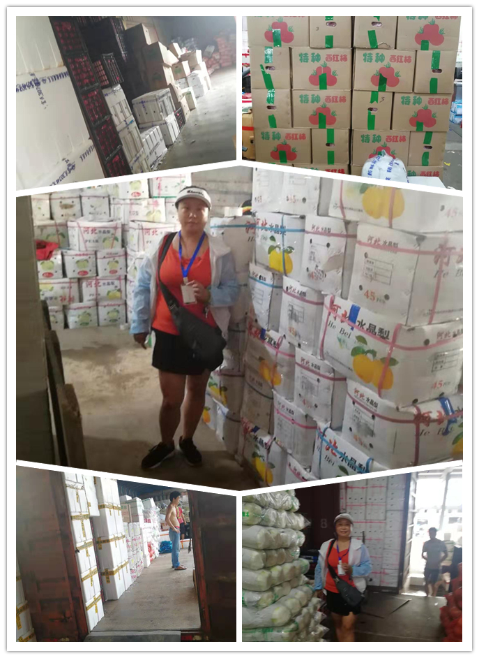 Z6·尊龙「中国区」官方网站