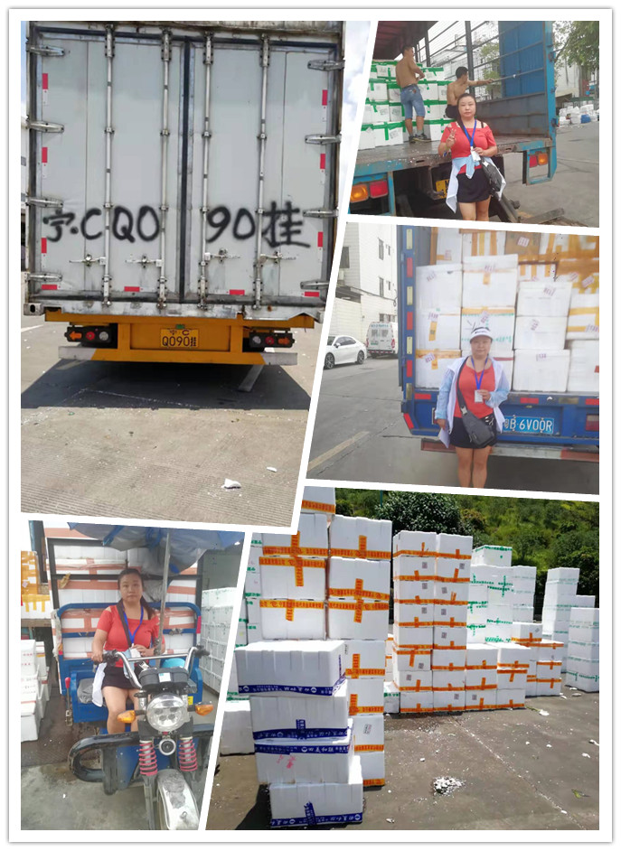 Z6·尊龙「中国区」官方网站