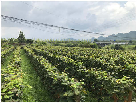 Z6·尊龙「中国区」官方网站