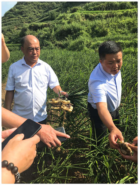 Z6·尊龙「中国区」官方网站