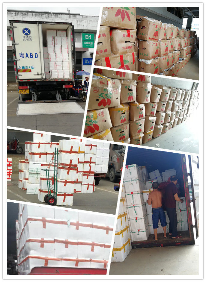 Z6·尊龙「中国区」官方网站