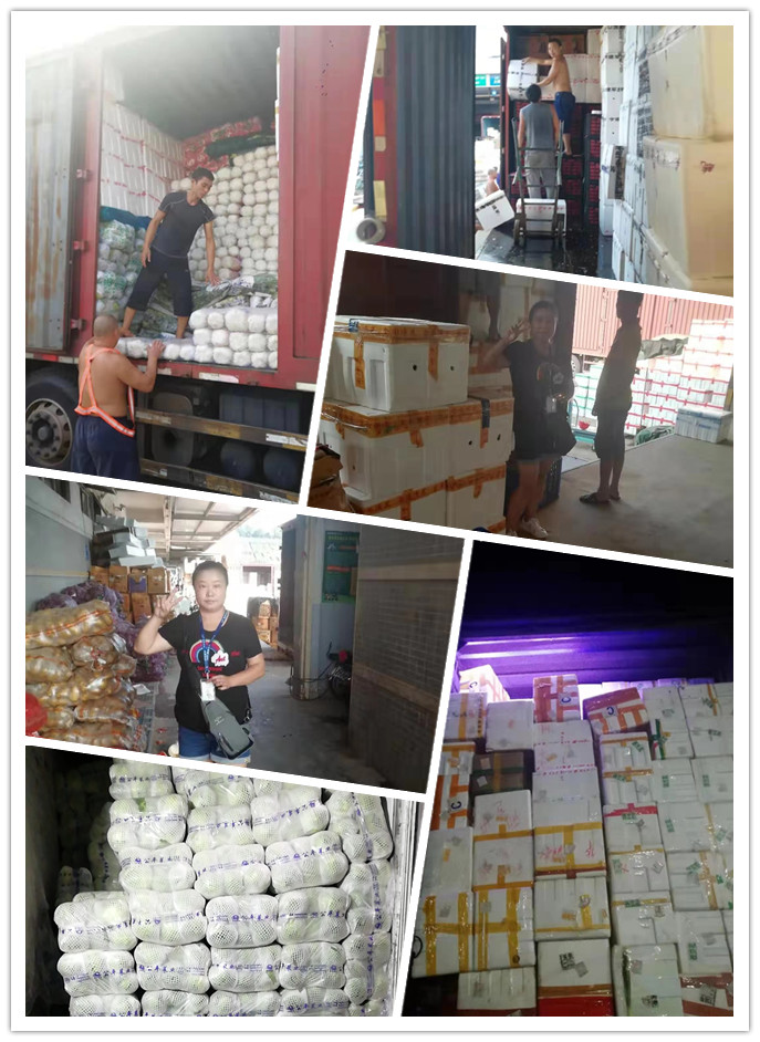 Z6·尊龙「中国区」官方网站