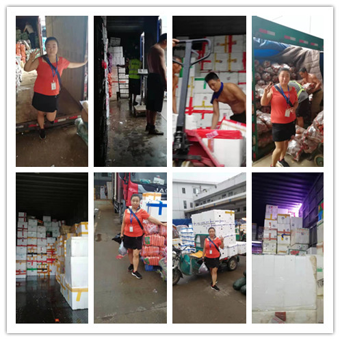 Z6·尊龙「中国区」官方网站