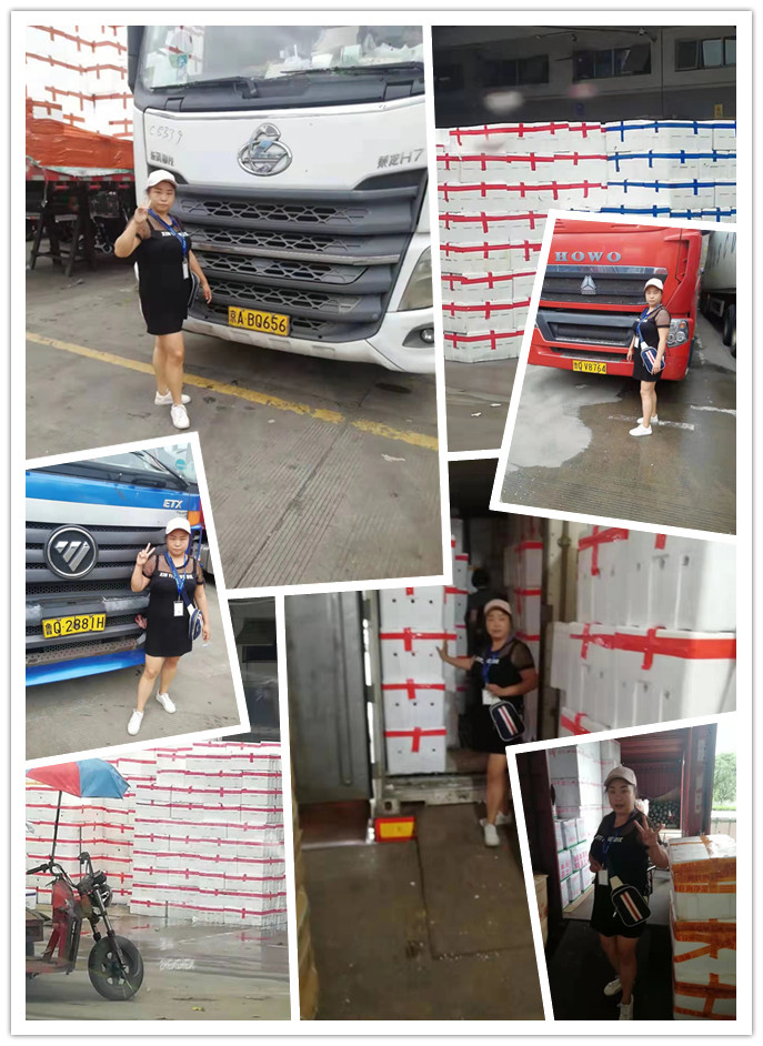 Z6·尊龙「中国区」官方网站