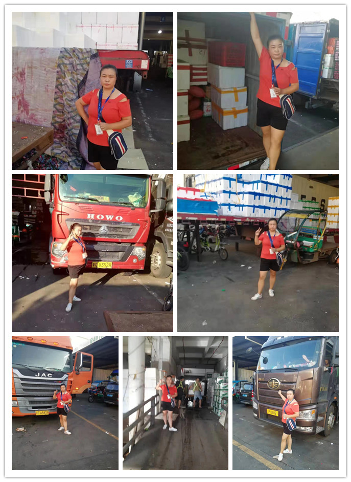 Z6·尊龙「中国区」官方网站