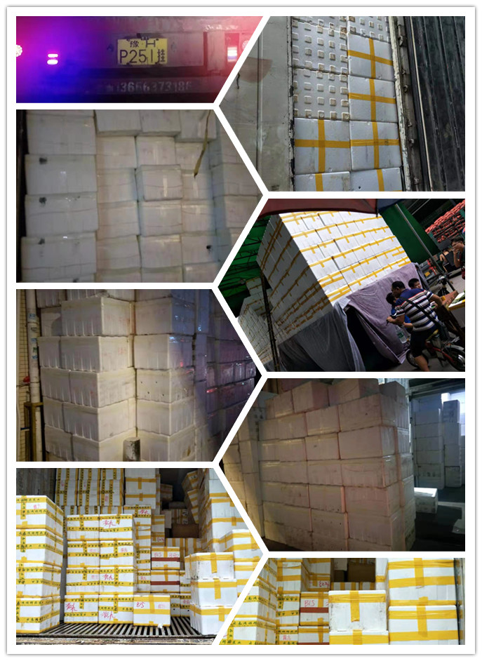 Z6·尊龙「中国区」官方网站