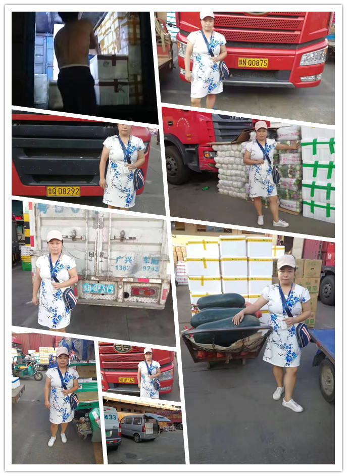 Z6·尊龙「中国区」官方网站