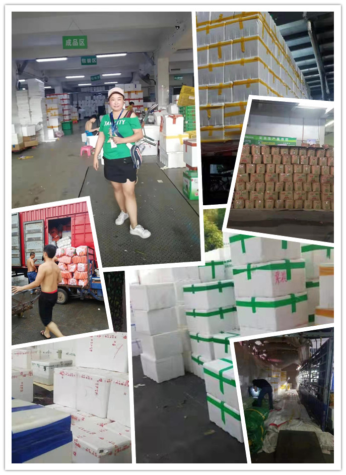 Z6·尊龙「中国区」官方网站