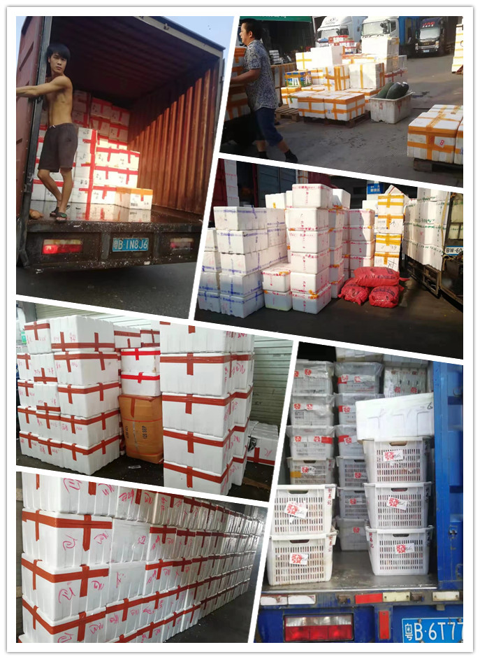 Z6·尊龙「中国区」官方网站