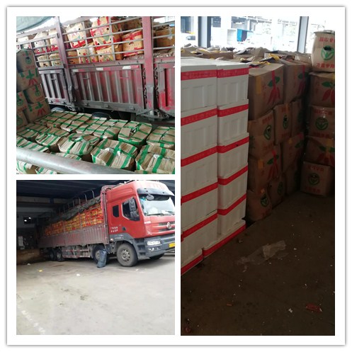 Z6·尊龙「中国区」官方网站