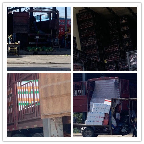 Z6·尊龙「中国区」官方网站