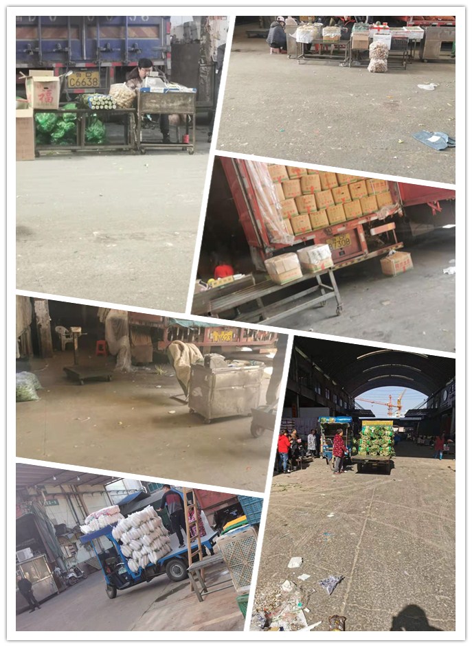 Z6·尊龙「中国区」官方网站