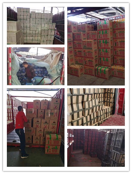 Z6·尊龙「中国区」官方网站