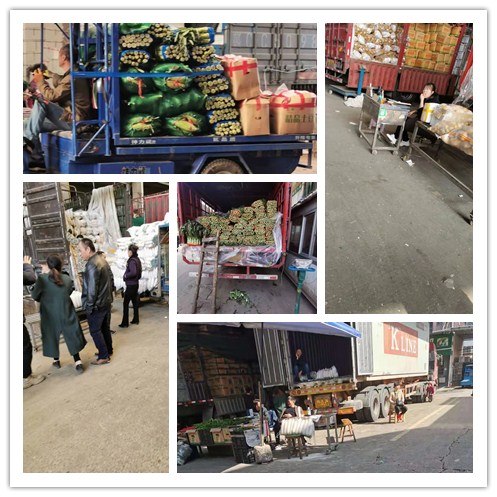 Z6·尊龙「中国区」官方网站