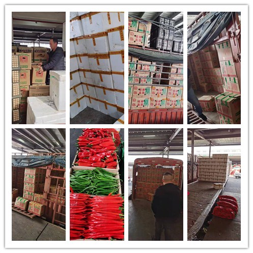 Z6·尊龙「中国区」官方网站