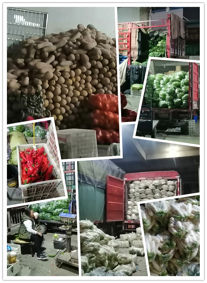 Z6·尊龙「中国区」官方网站