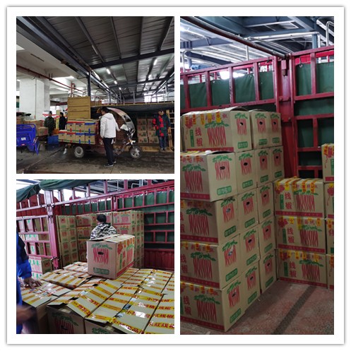 Z6·尊龙「中国区」官方网站