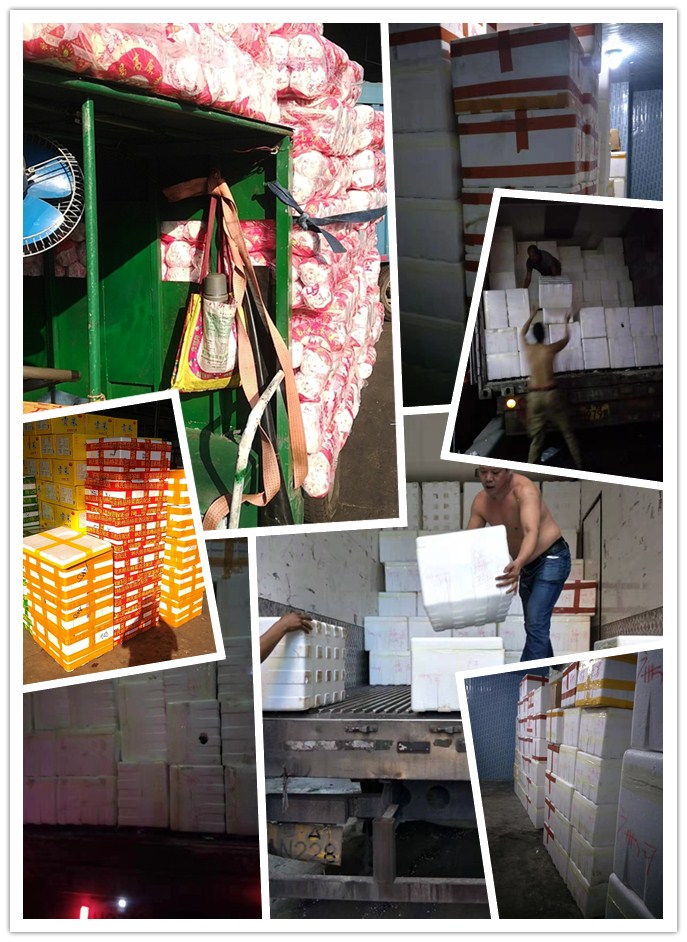 Z6·尊龙「中国区」官方网站