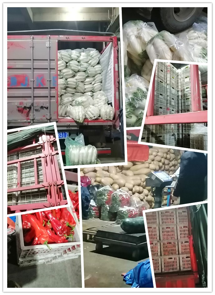 Z6·尊龙「中国区」官方网站