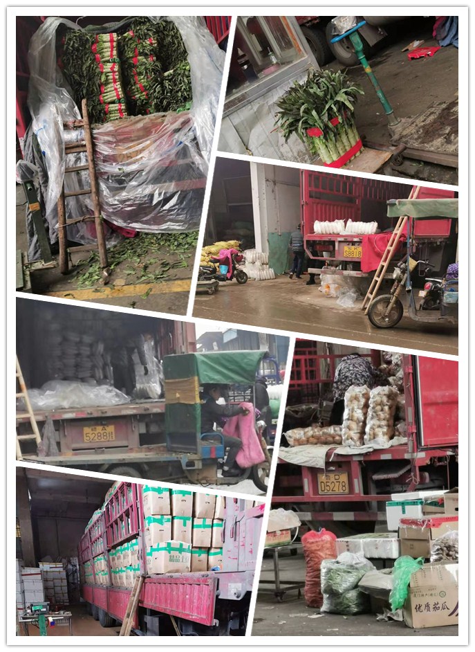 Z6·尊龙「中国区」官方网站