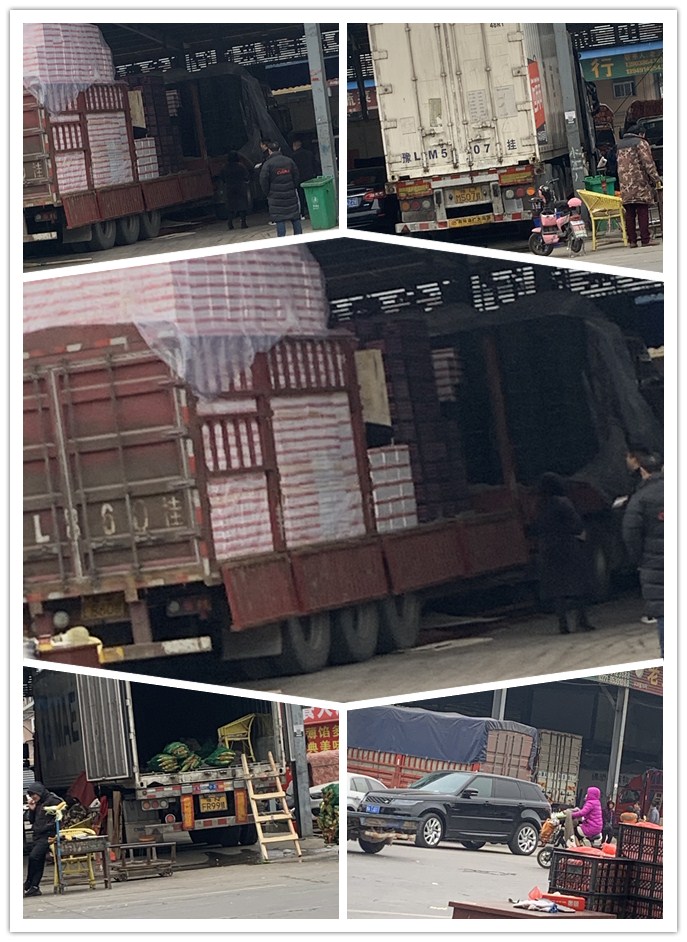 Z6·尊龙「中国区」官方网站