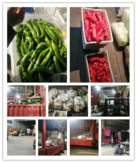 Z6·尊龙「中国区」官方网站