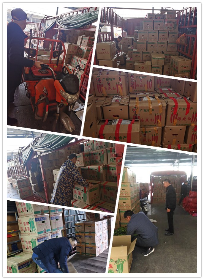 Z6·尊龙「中国区」官方网站