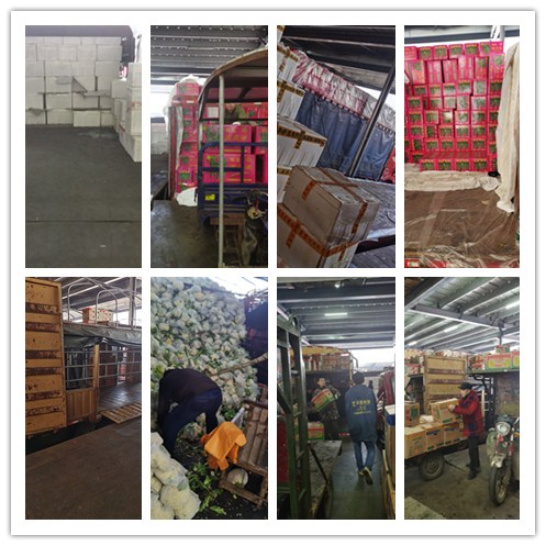 Z6·尊龙「中国区」官方网站