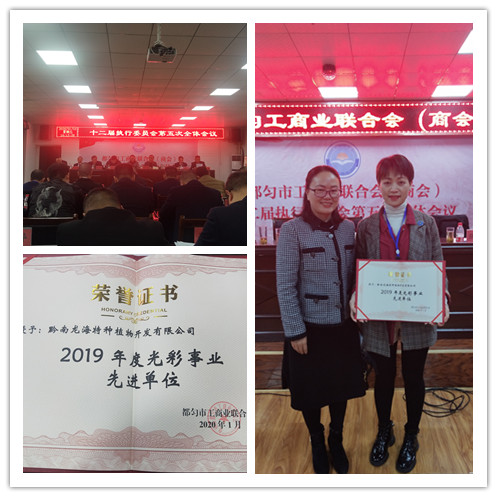 Z6·尊龙「中国区」官方网站