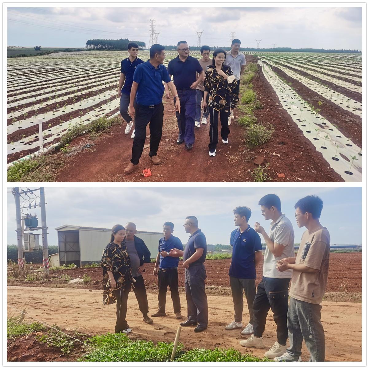 Z6·尊龙「中国区」官方网站