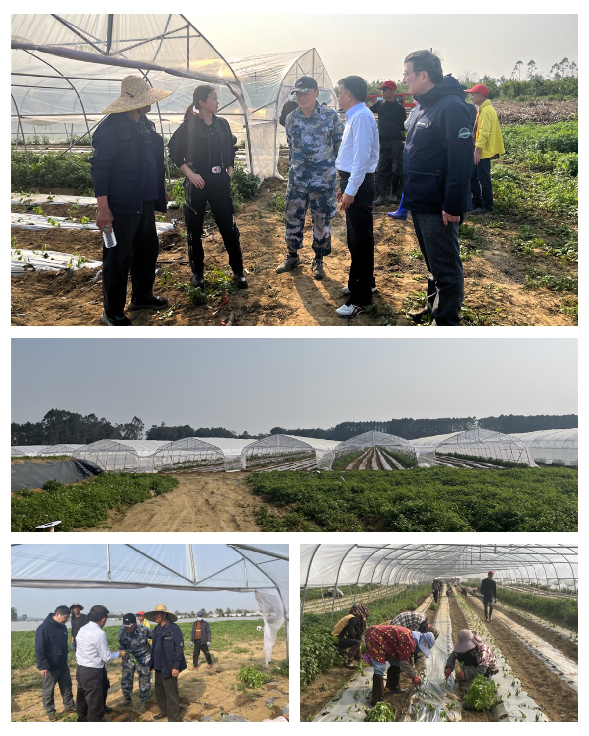 Z6·尊龙「中国区」官方网站