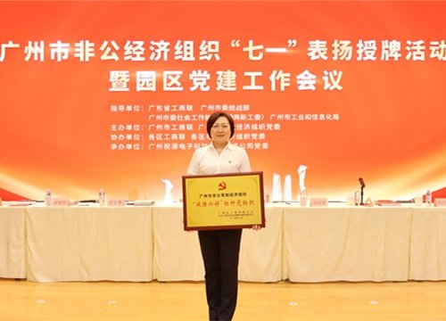 标杆引领，荣誉升级！集团党支部荣膺广州市非公有造经济组织“双强六好”标