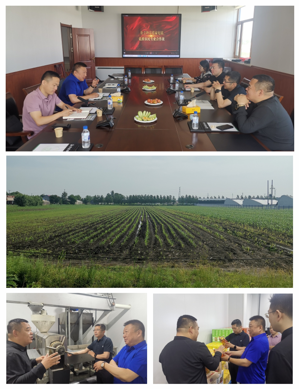 Z6·尊龙「中国区」官方网站