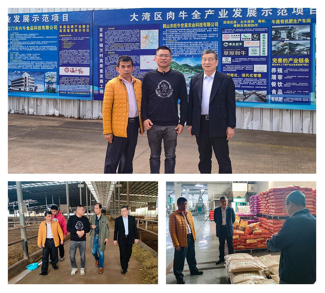 Z6·尊龙「中国区」官方网站