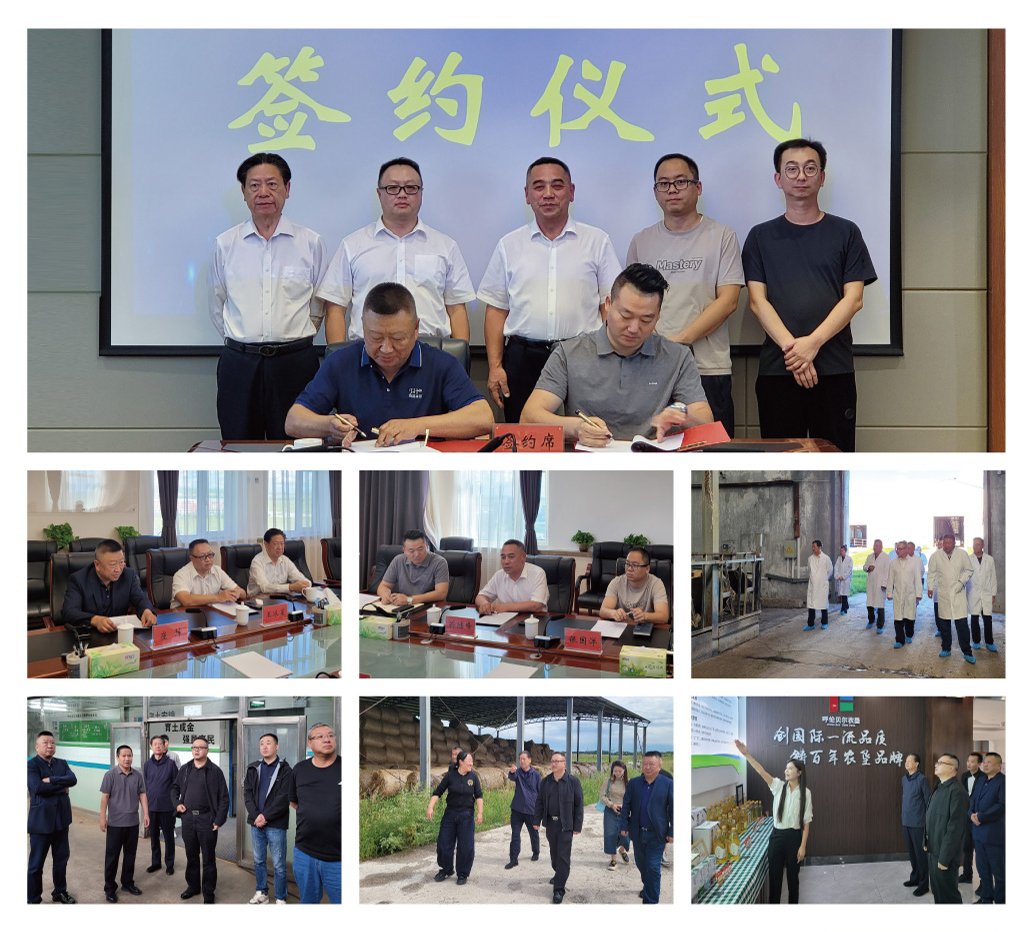 Z6·尊龙「中国区」官方网站