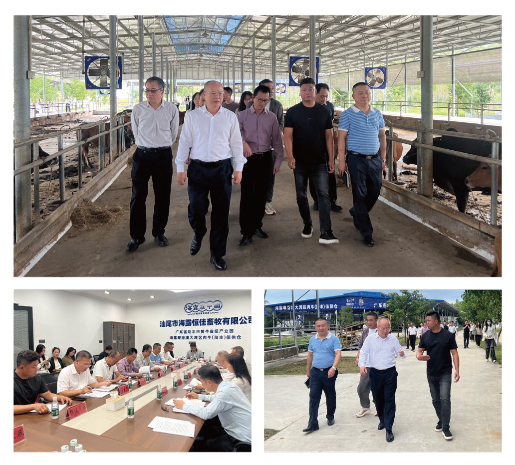 Z6·尊龙「中国区」官方网站